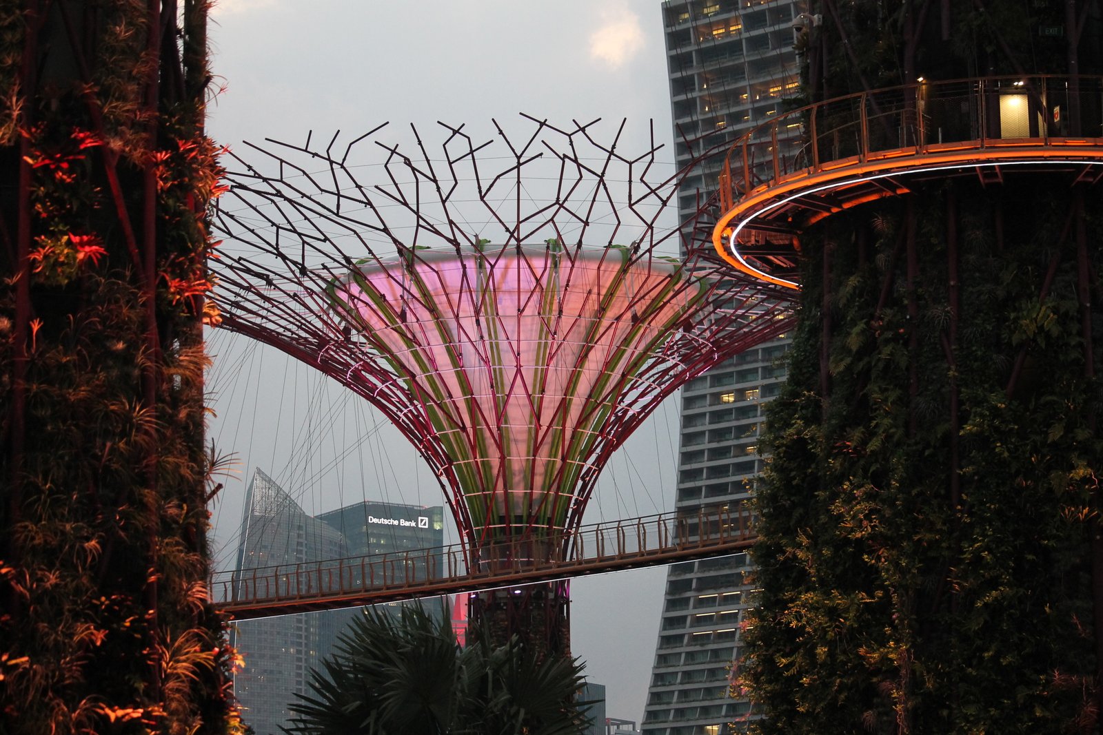 Beleuchteter Supertree in Gardens by the Bay in Singapur